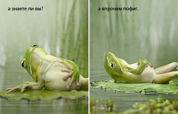 а знаете ли вы