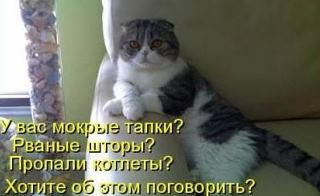 ***