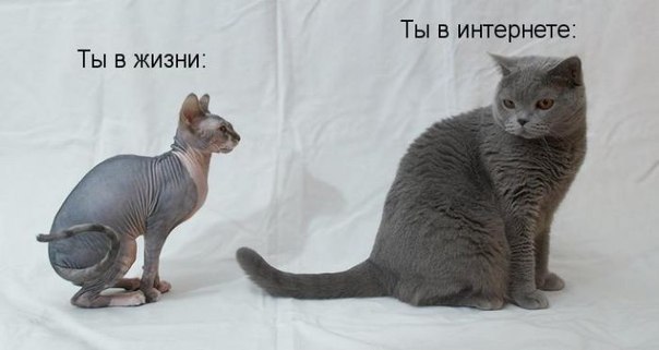 В жизни и в интернете