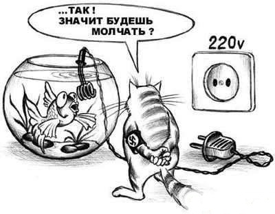 Кот и рыбки