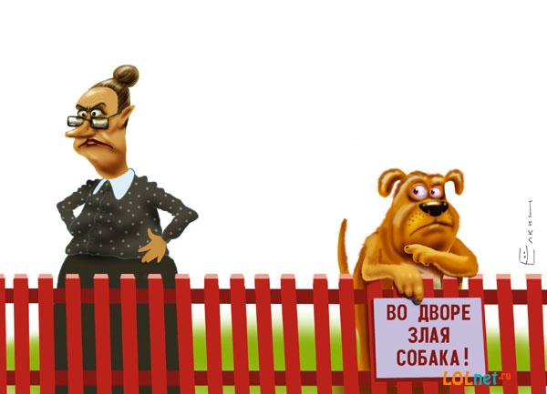 Злая собака