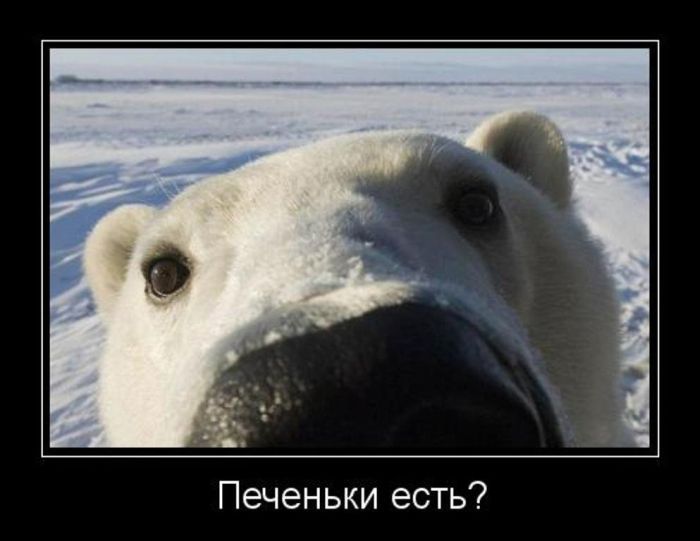Печеньки