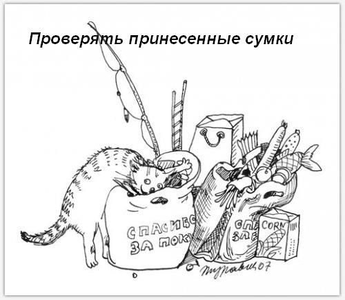 Кошкины обязанности в доме