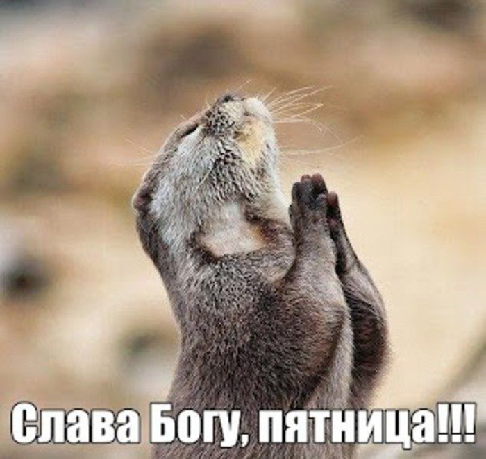 Ура, пятница!