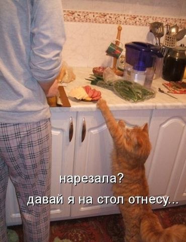 Каков хитрец!