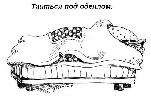 Кошкины обязанности в доме