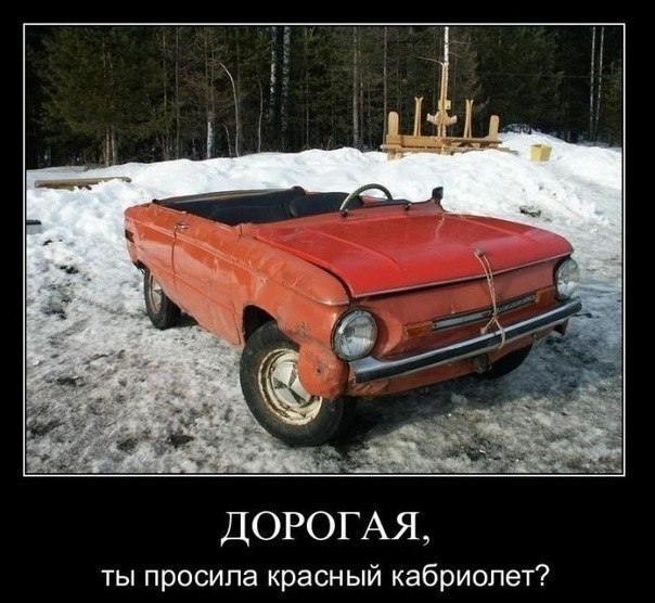 Любой каприз