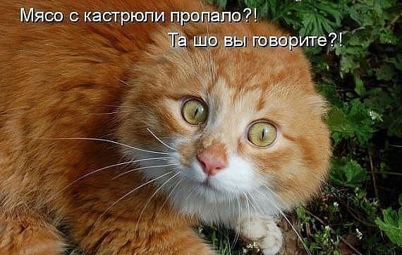 Та шо вы говорите?!
