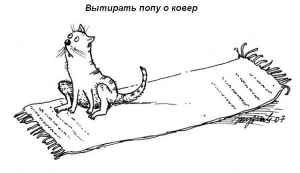 Кошкины обязанности в доме