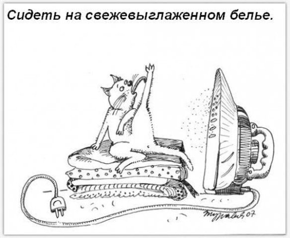 Кошкины обязанности в доме