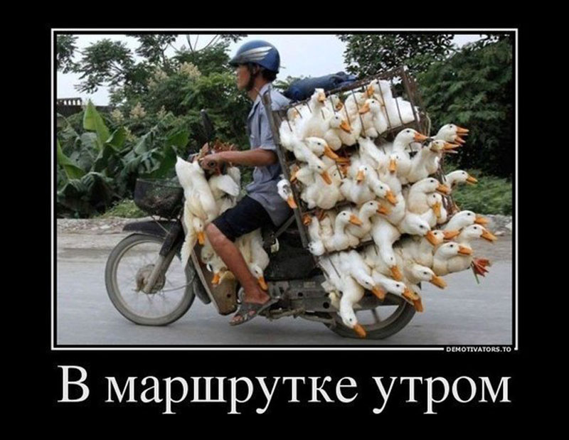 утро в маршрутке