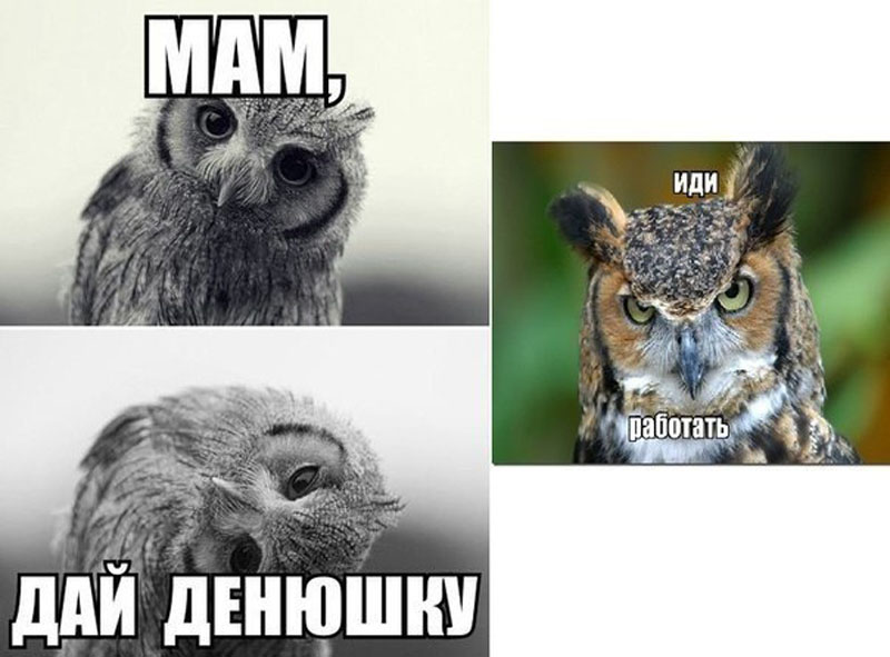 Работать