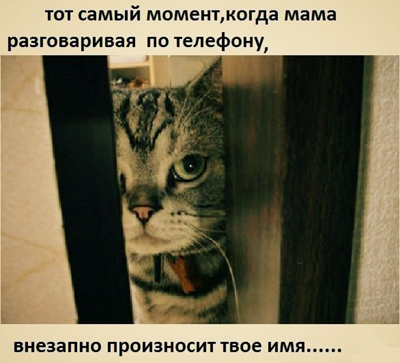 по телефону