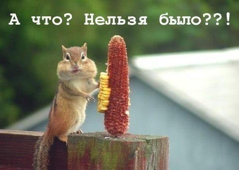 а что?