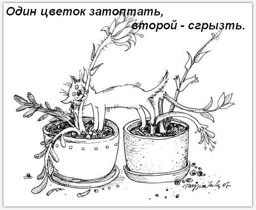 Кошкины обязанности в доме
