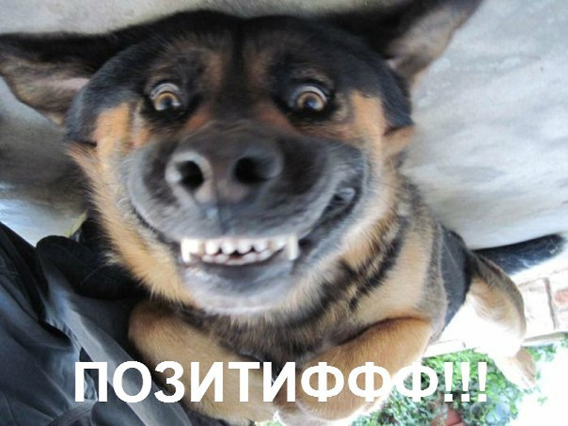 позитив
