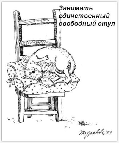 Кошкины обязанности в доме