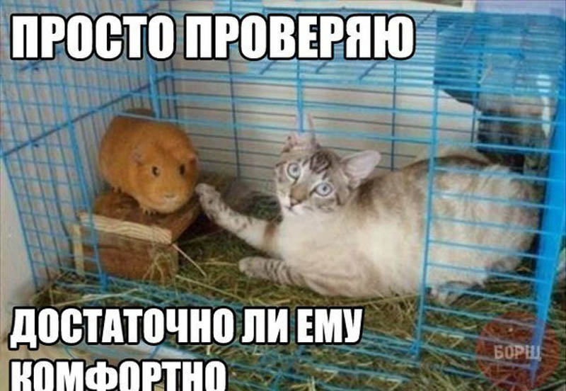 достаточно комфортно