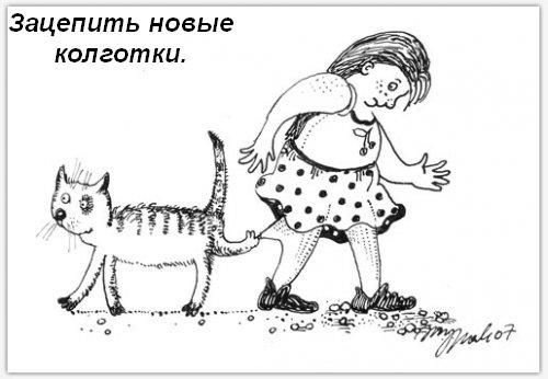 Кошкины обязанности в доме