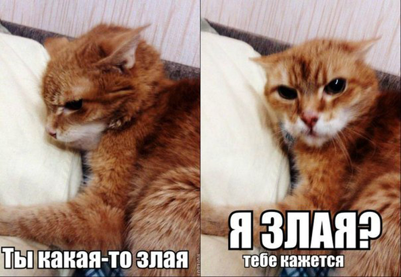 Ты злая