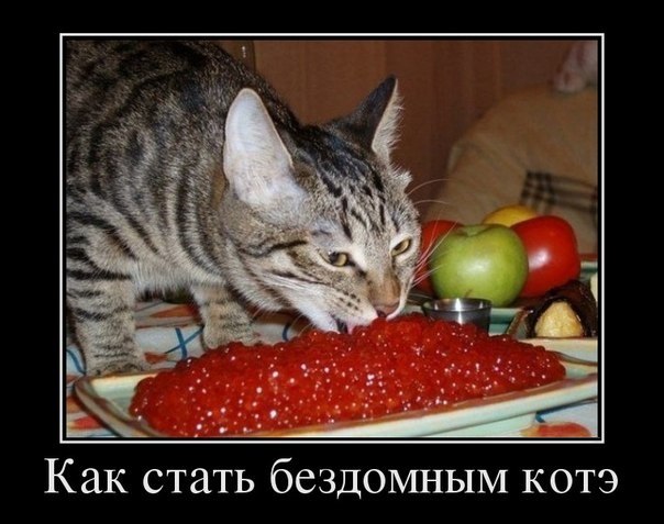 Был замечен...