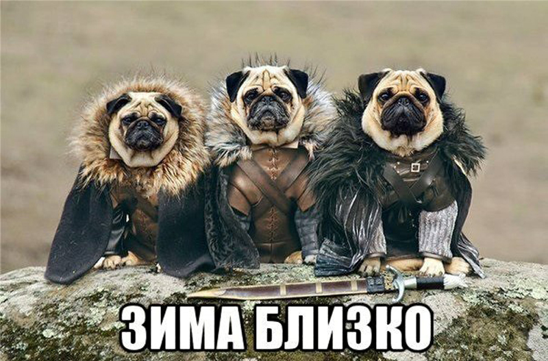 Зима близко
