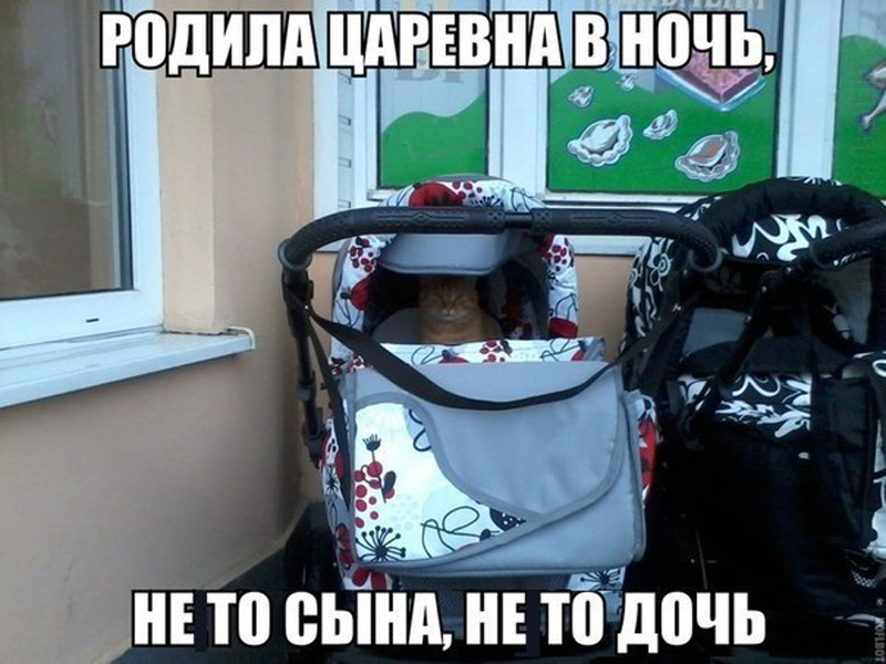 Родила царевна в ночь