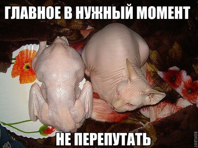Главное не перепутать