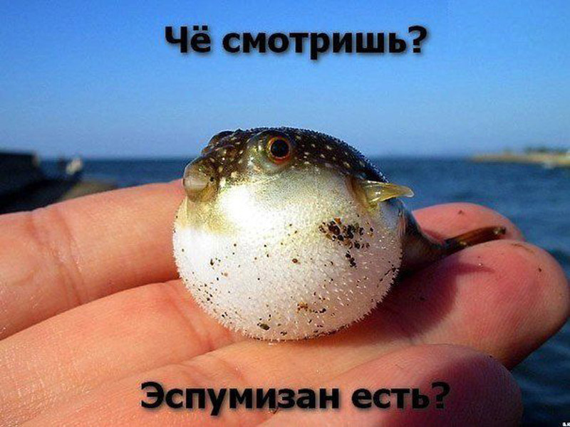 Эспумизан