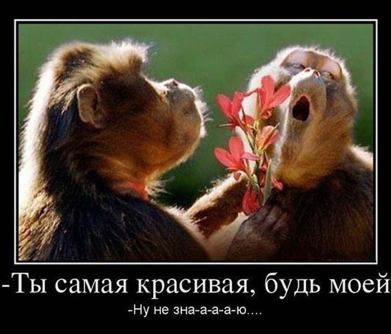 Ну не знааааю