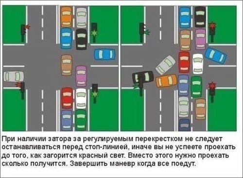 правила дорожного движения для новичков