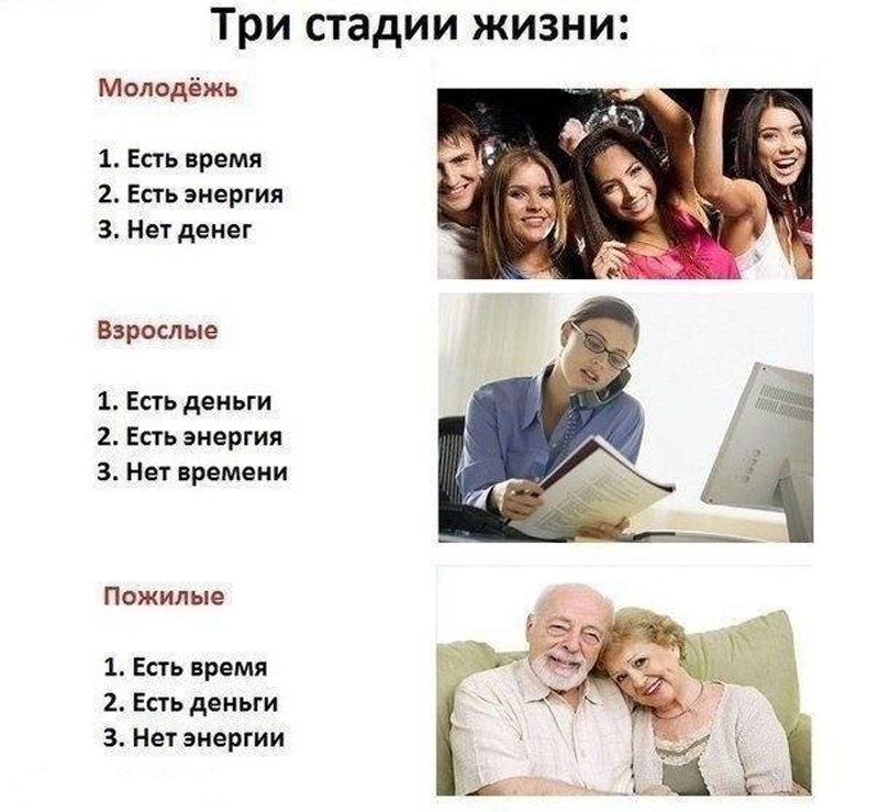 Стадии жизни