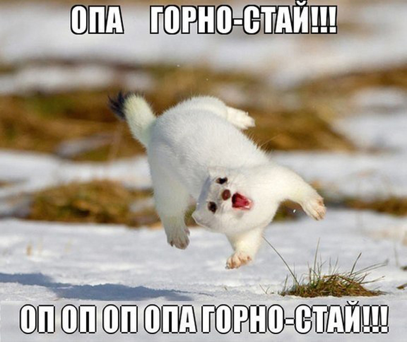 Горностай