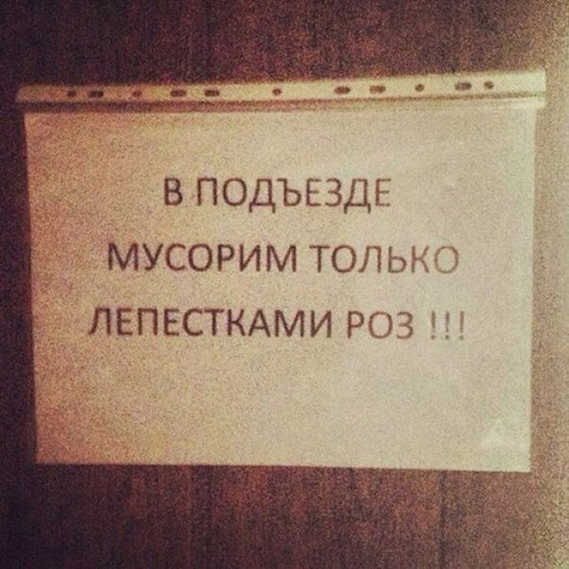 В подъезде мусорим лепестками