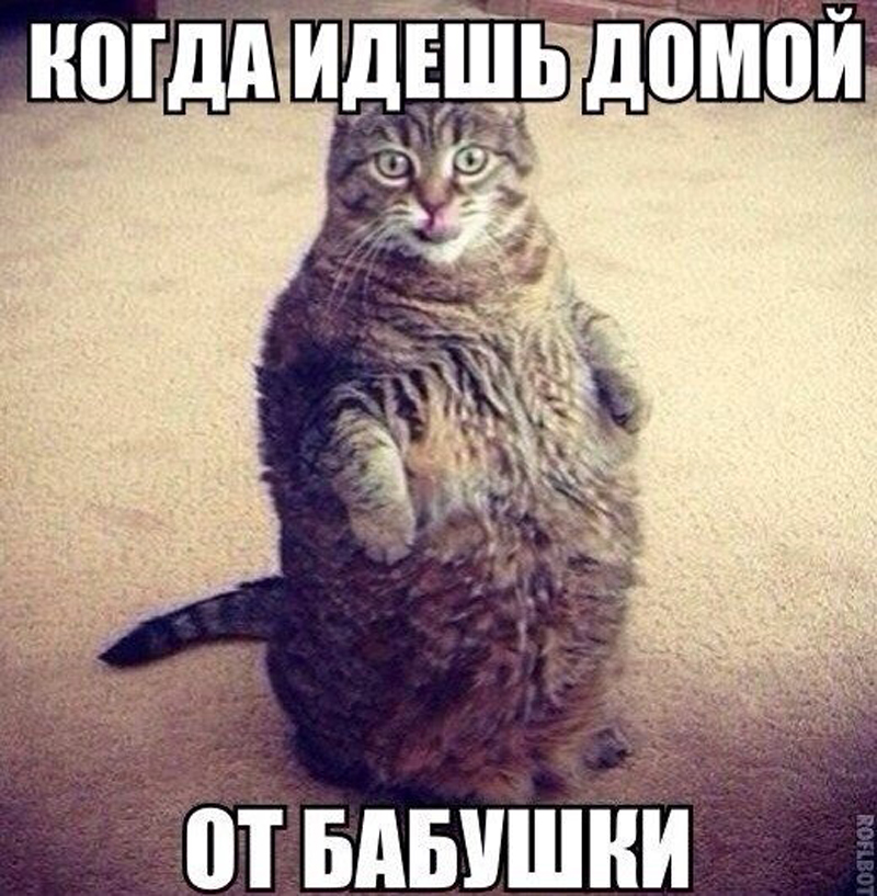 От бабушки