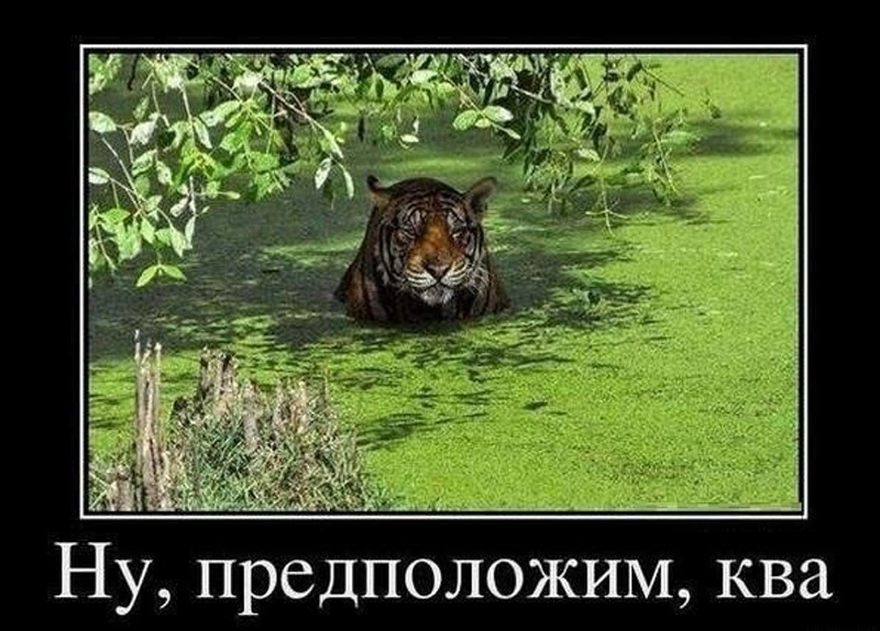 Ква