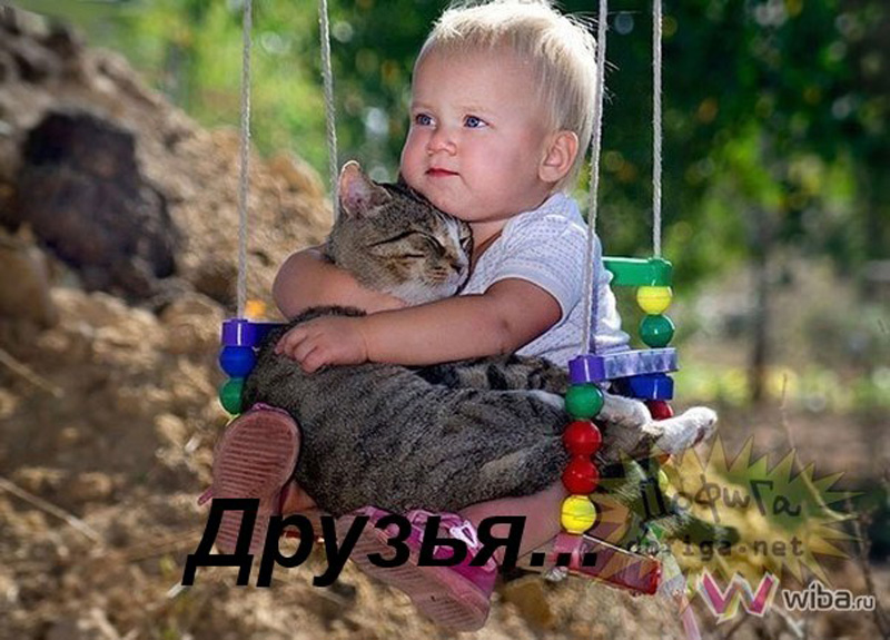 Друзья