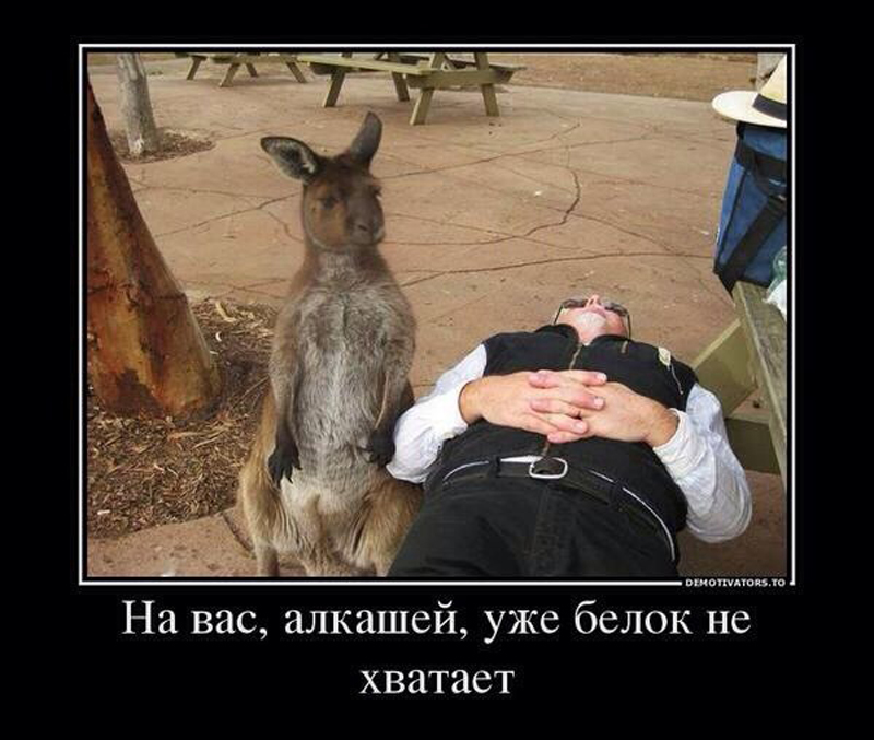 Белок не хватает