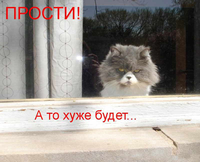 Прости