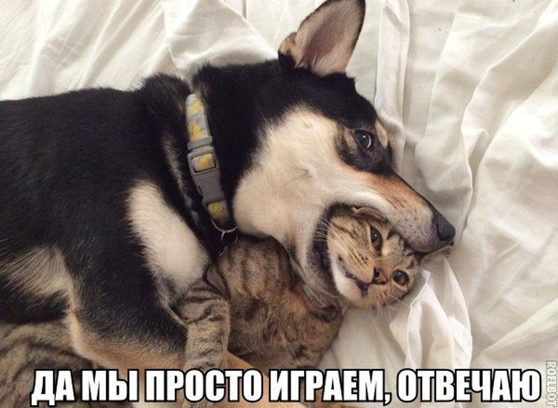 Играемся