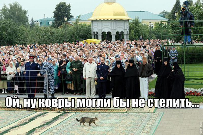 Красная дорожка