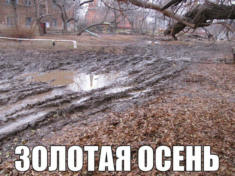 Золотая осень