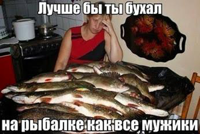 Лучше б бухал