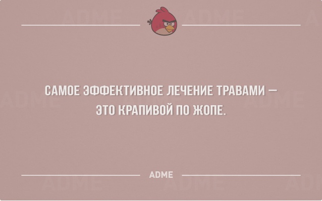 * * *