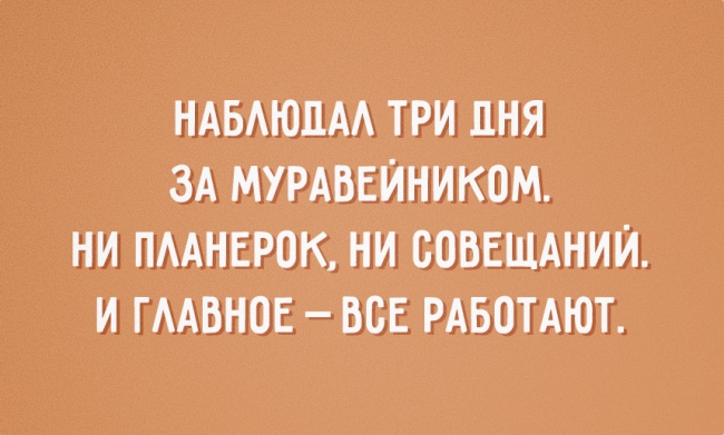 * * *