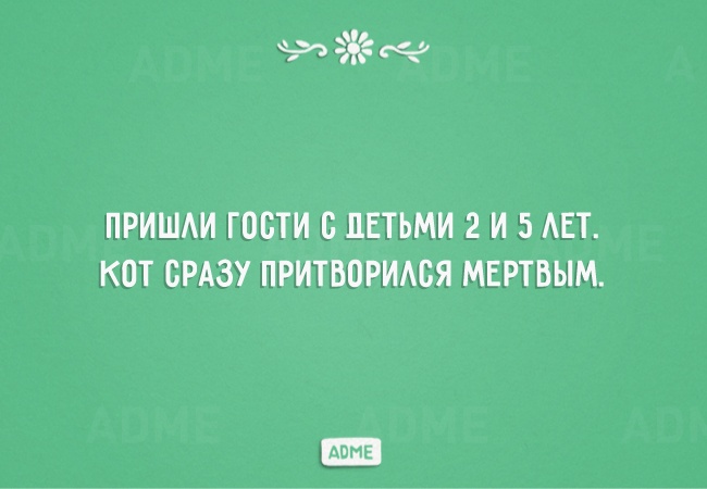 * * *