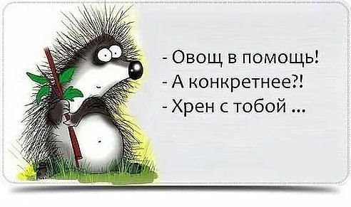 * * *