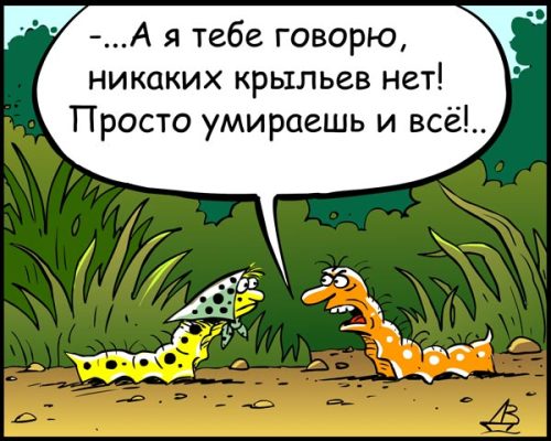 Крыльев нет