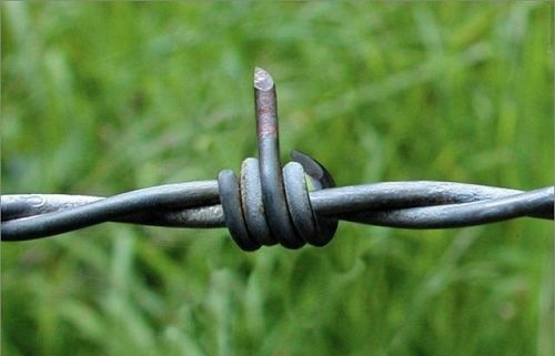 Колючая проволока