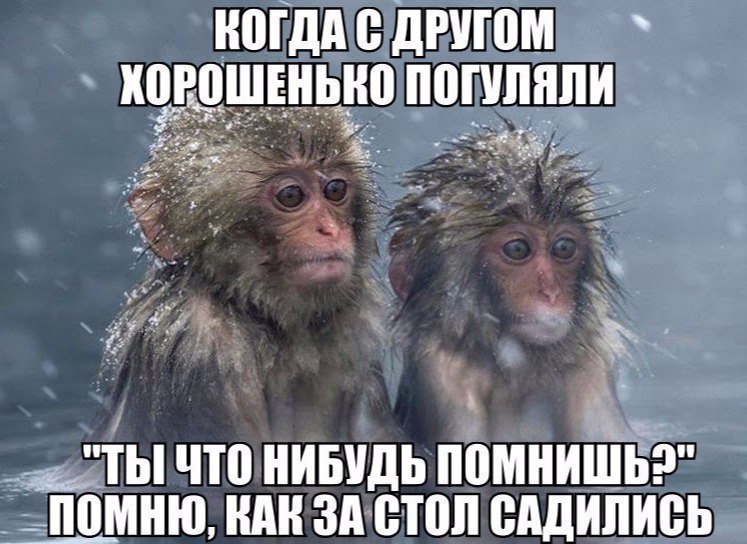 Ты что-нибудь помнишь?